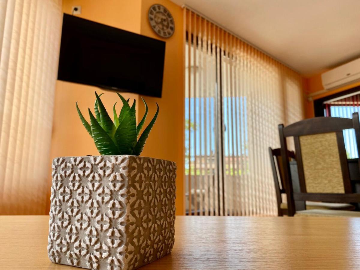 Cozy Apartment In The Center Of プリモルスコ エクステリア 写真